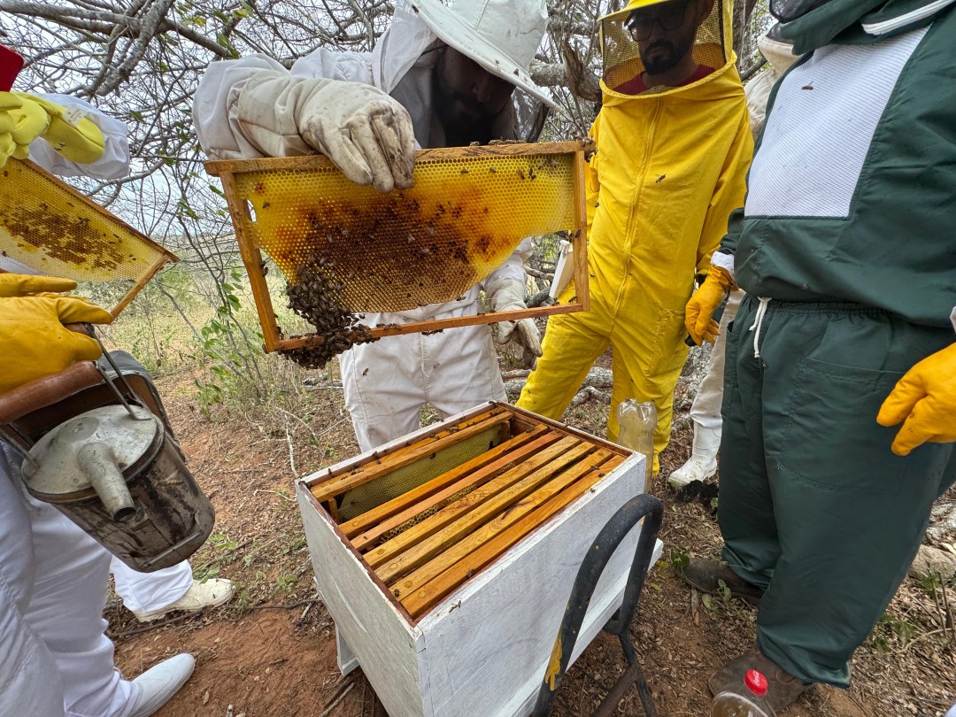 Curso de Manejo Produtivo em Apicultura capacita produtores em Queimadas - parceria SEAGRI/SENAR