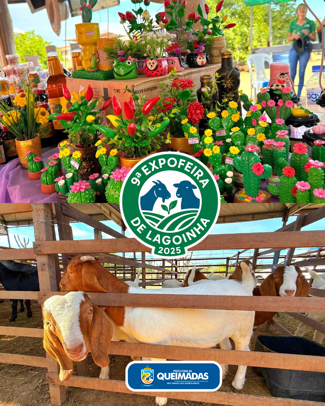 Shows musicais, Exposições de Animais e Feira da Agricultura Familiar - marcam a 9ª Expofeira do Povoado de Lagoinha